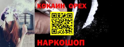 молекула духа Будённовск