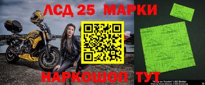 молекула духа Будённовск