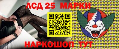молекула духа Будённовск