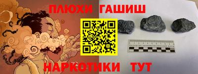 молекула духа Будённовск