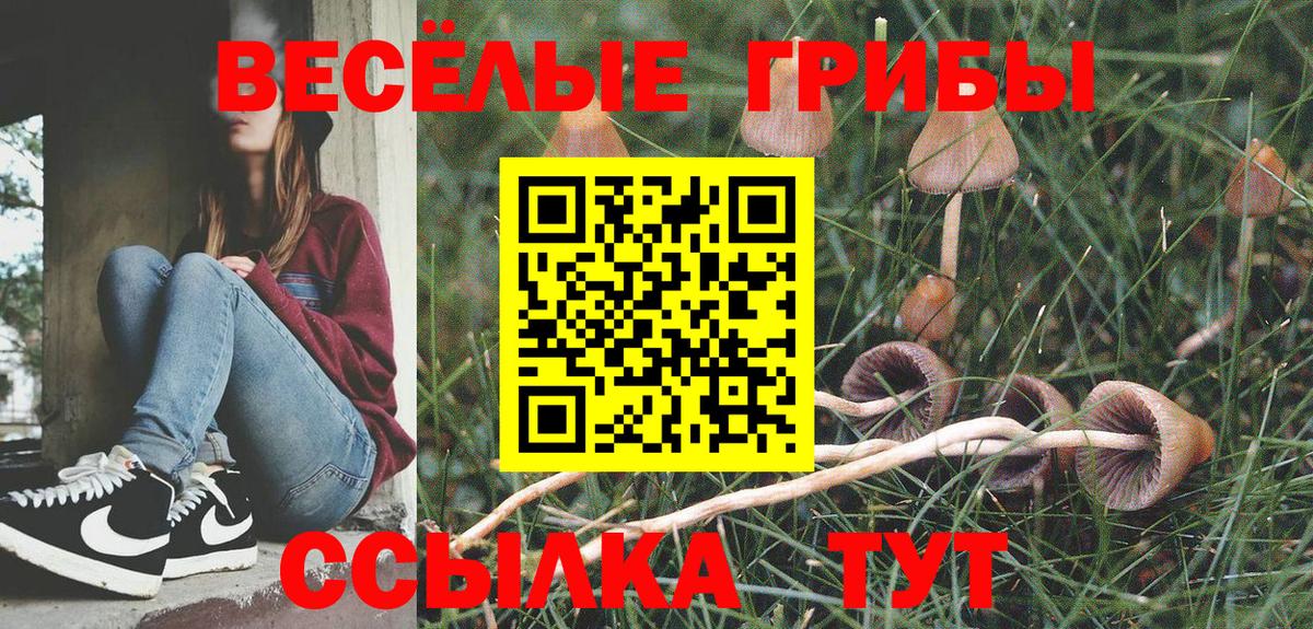 Шарыпово  Псилоцибиновые грибы ЛСД  где можно купить   Вход с VPN 